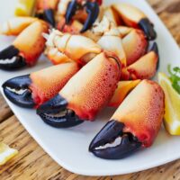 Des pinces de crabes - comeirrez - Shutterstock