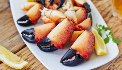 Des pinces de crabes - comeirrez - Shutterstock