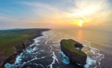 Healys Island - Raymond Fogarty