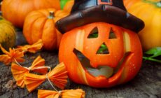 Une citrouille d'Halloween - © Sonja Birkelbach
