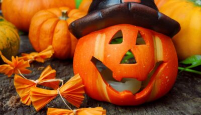 Une citrouille d'Halloween - © Sonja Birkelbach