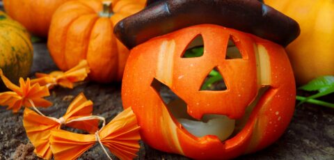 Une citrouille d'Halloween - © Sonja Birkelbach