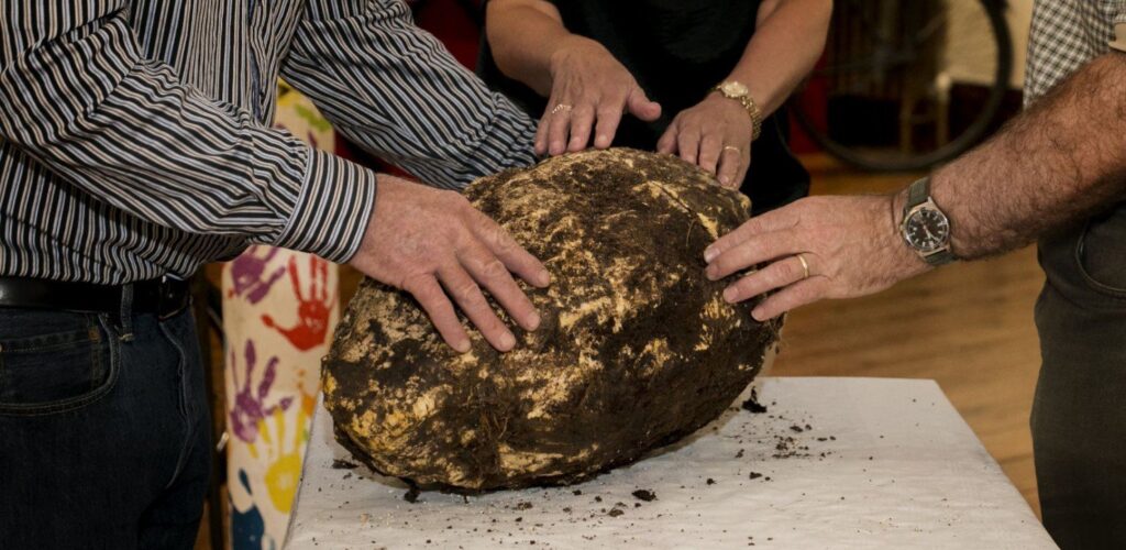 La motte de beurre découverte