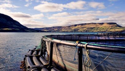 La Glenarm Organic Salmon - www.glenarmorganicsalmon.com