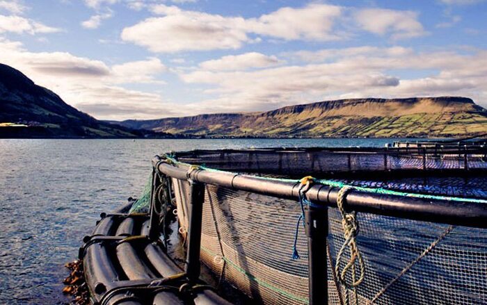 La Glenarm Organic Salmon - www.glenarmorganicsalmon.com