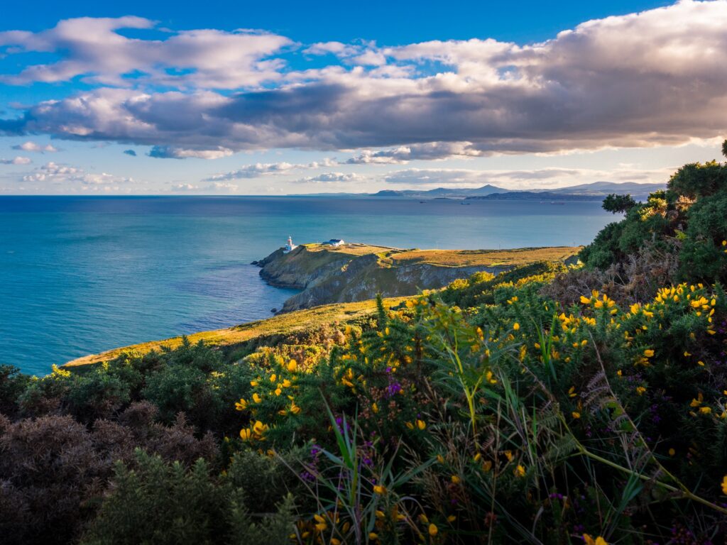 Howth Head - © Evgeni