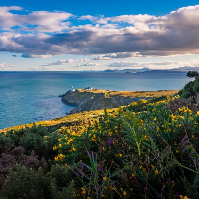 Howth Head - © Evgeni