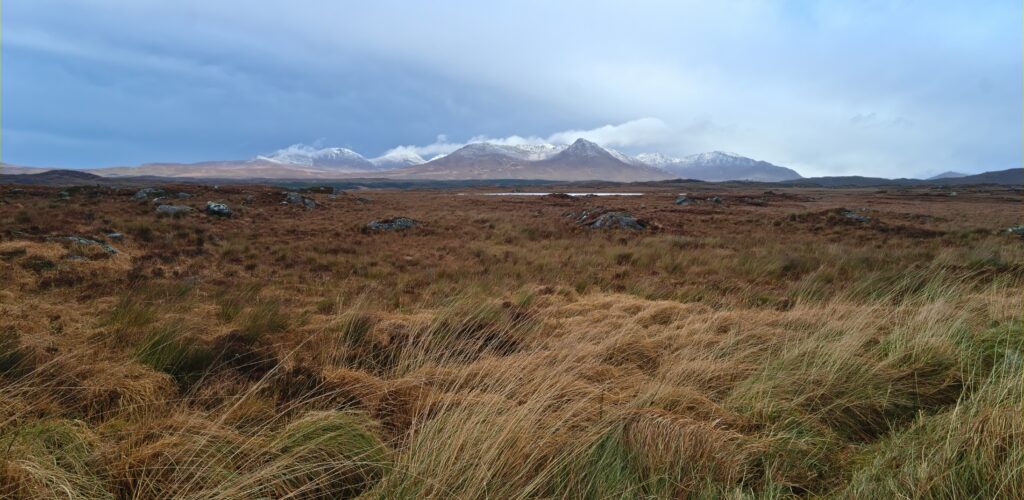 roundstone bog