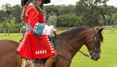 Le Battle of the Boyne Visitor Centre - Allan LEONARD - cc
