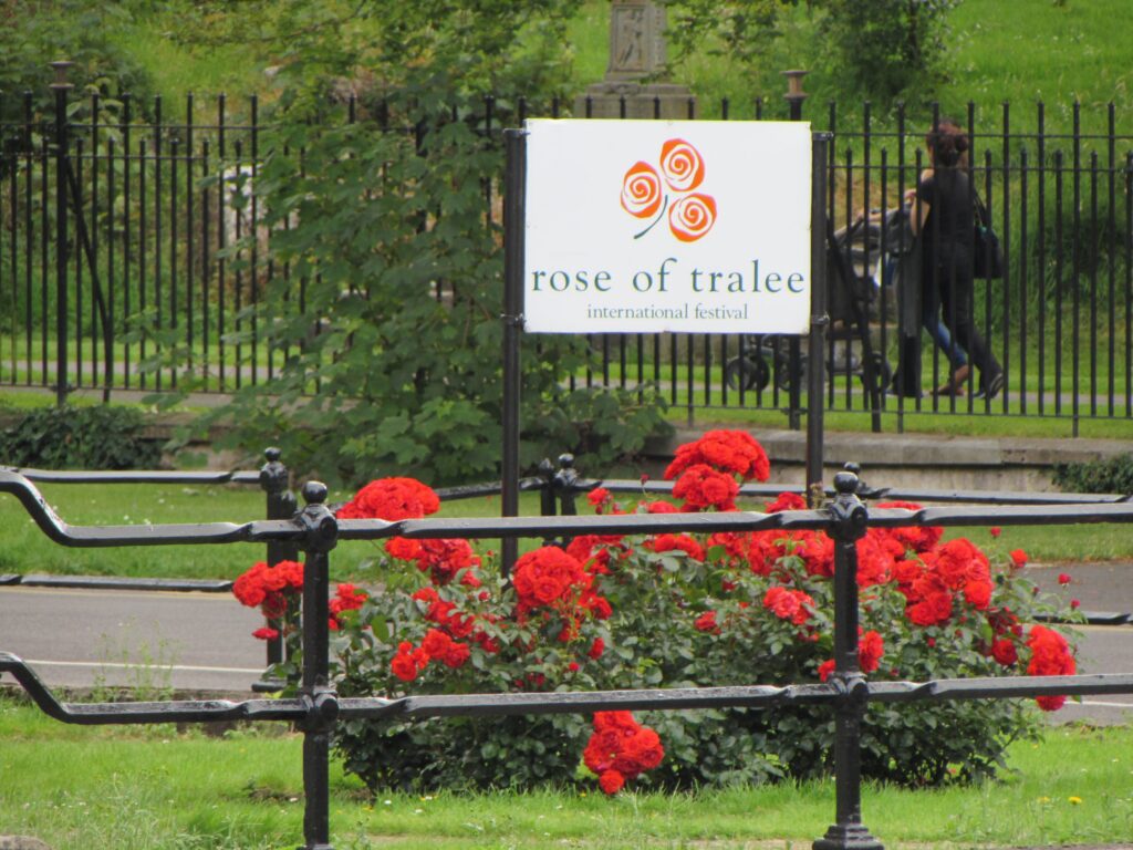 rose of tralee scaled