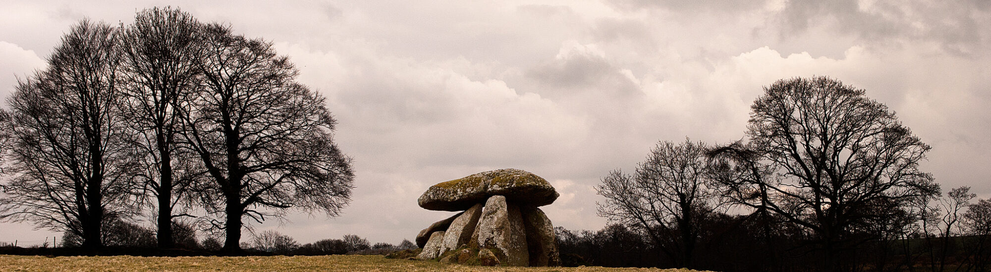 Le Dolmen de Haroldstown - David Bergin - cc