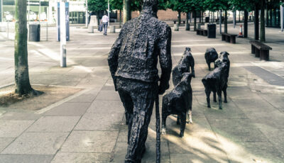 La Sheep on the Road - William Murphy - cc