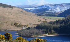 Le Lough Dan - Panpan Lin - cc