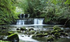 La Fowley falls - Caroline Johnston - cc