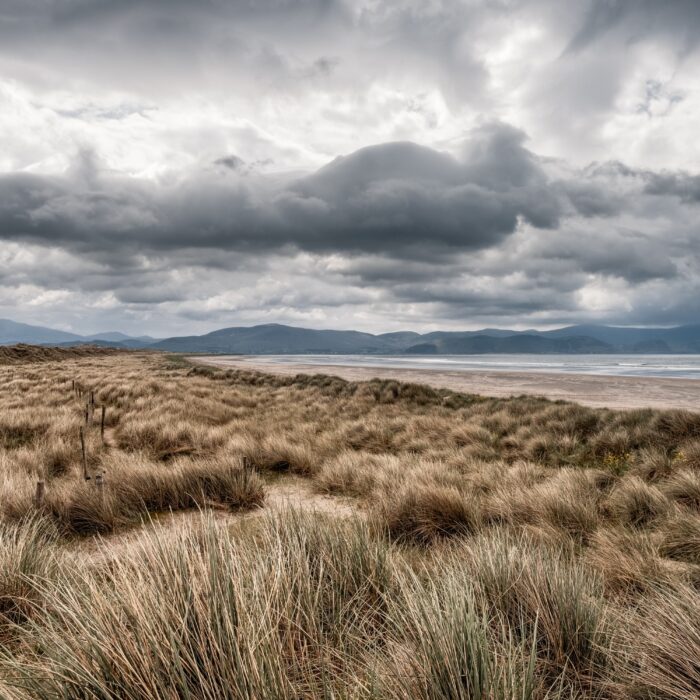 La Inch bech - © Jon Ingall