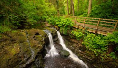 Le Glenariff Forest Park - Umberto Nicoletti - cc