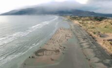 14-18 Now - https://www.pagesofthesea.org.uk