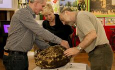 Du bog butter