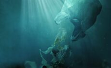 Des déchets plastiques dans l'océan - stokkete