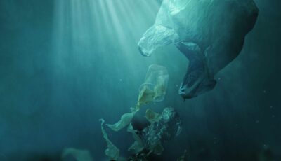 Des déchets plastiques dans l'océan - stokkete