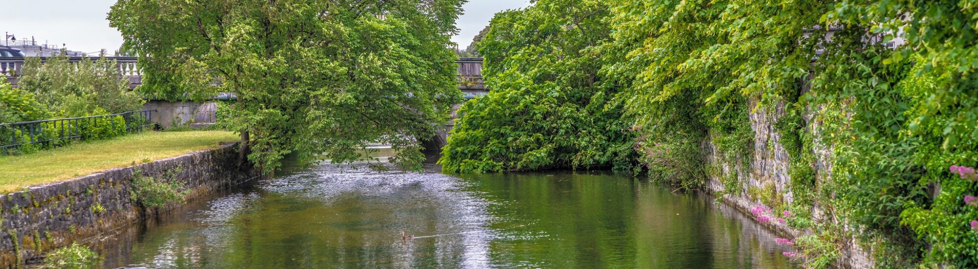 Le Corrib Walk - William Murphy - cc