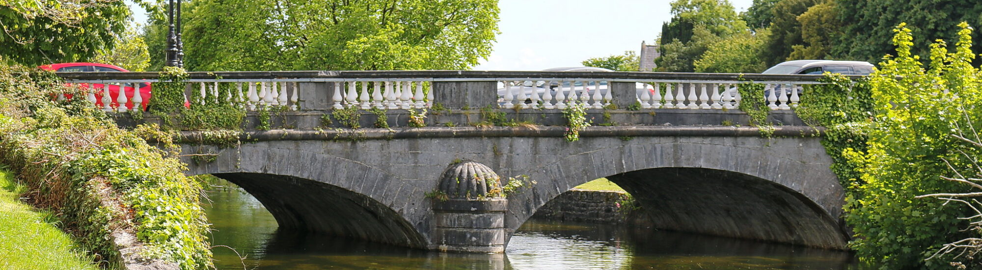 lE Salmon Weir Bridge - Robert Linsdell - cc