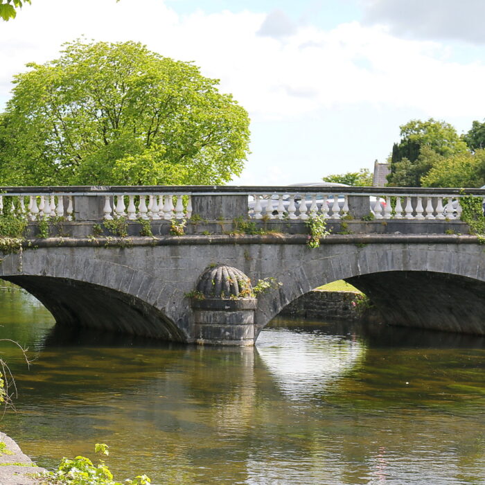 lE Salmon Weir Bridge - Robert Linsdell - cc