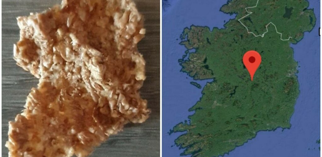 Un corn-flake en forme d&rsquo;Irlande mis en vente sur ebay à 112€