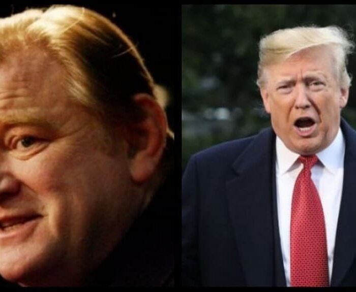 Brendan Gleeson va interpréter le président américain Donald Trump