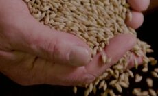 La Burren Brewery - https://www.burrenexperiences.ie/