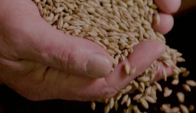 La Burren Brewery - https://www.burrenexperiences.ie/