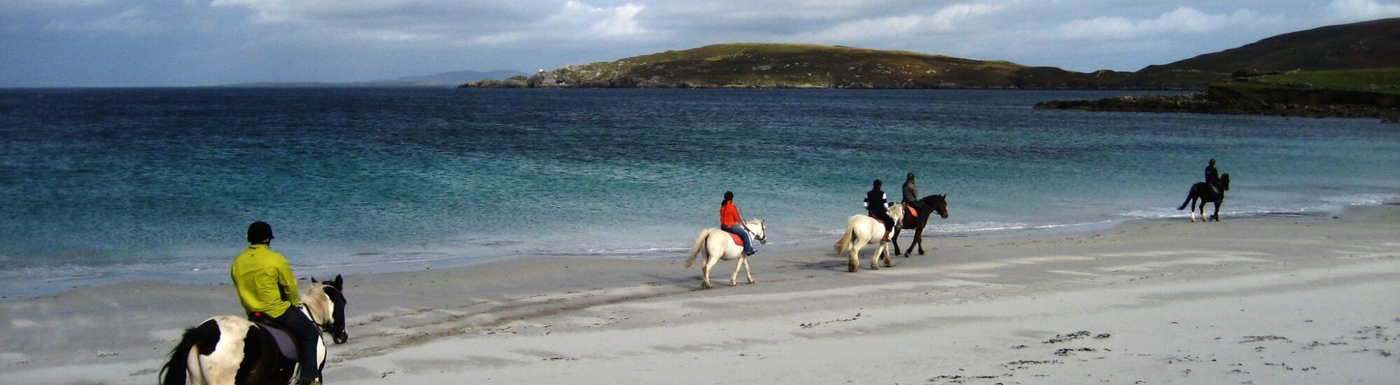 Du cheval sur une plage en Irlande - ben d - cc