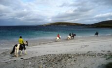 Du cheval sur une plage en Irlande - ben d - cc