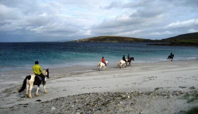 Du cheval sur une plage en Irlande - ben d - cc