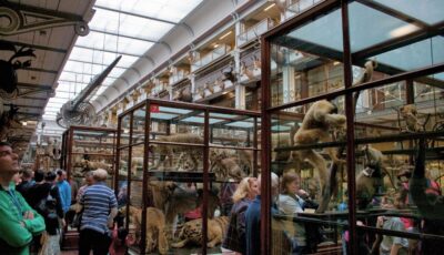 Le National History Museum of Ireland - Kieran Guckian - cc