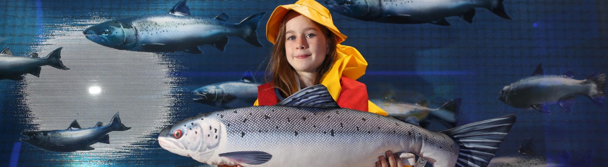 Taste The Atlantic - The Salmon Experience

Photo: Kenneth O Halloran