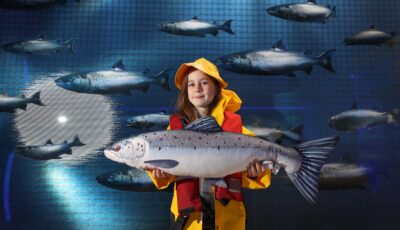 Taste The Atlantic - The Salmon Experience