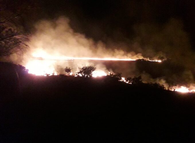 Parc National de Killarney : un incendie ravage 60 hectares