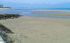 La Claremont beach - William Murphy - cc