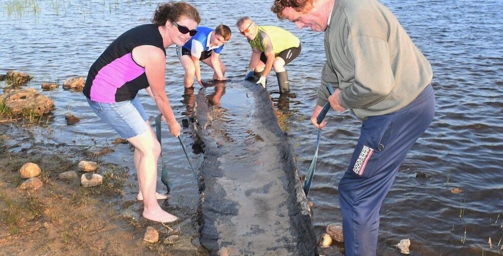 Le bateau découvert à Roscommon - M. McCormack