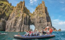 Le bateau du Dingle Sea Safari - www.dingleseasafari.com