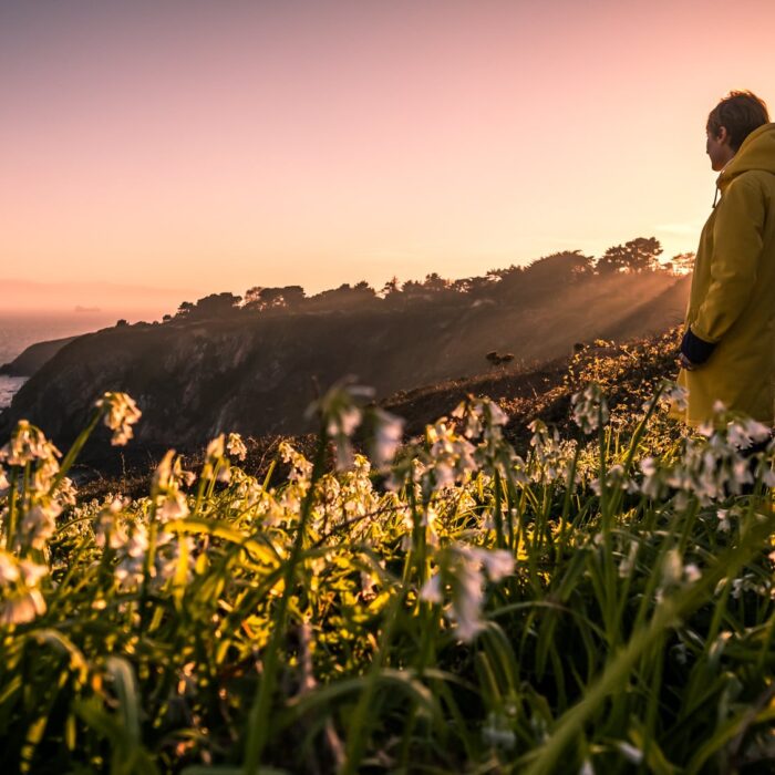 Le Howth Cliff Path - Giuseppe Milo - cc
