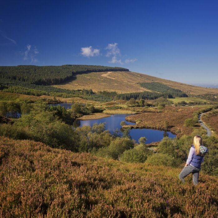 Les Gortin Glen Lakes - Courtesy of Tyrone and Sperrins destination