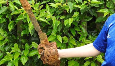 Fionntan Hughes présente son épée