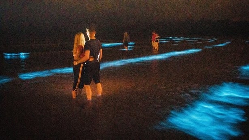 Fountainstown beach illuminated by plankton