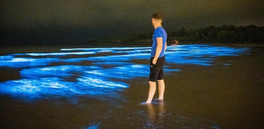 Insolite : du plancton bioluminescent éclaire une plage du comté de Cork en Irlande !