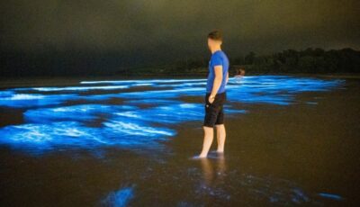 La Fountainstown beach illuminée par du plancton