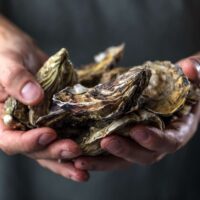 Des huîtres irlandaises - © karepa