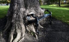 Le Hungry tree - © yuplex