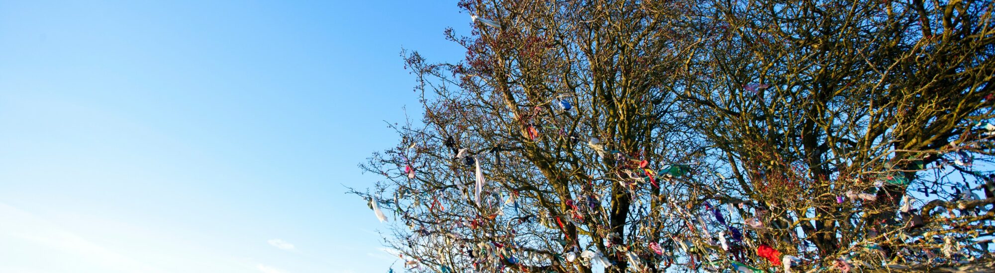 Arbre à fée